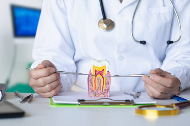Best Emergency Cosmetic Dentistry (e.g., broken veneers) in Greenville, RI